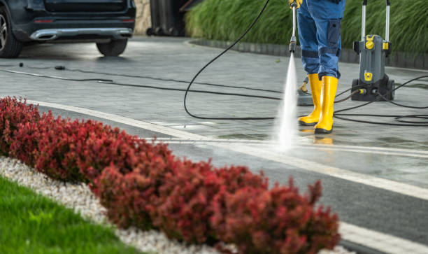 Best Building Exterior Washing  in Holley, FL